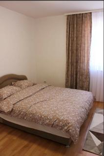 Apartment Ilidza-SK 2 - Sarajevo - 2
