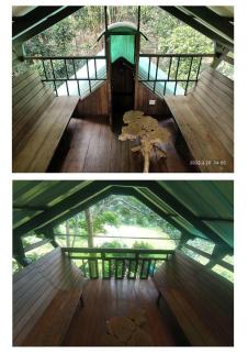 Tree House Wayanad - 1
