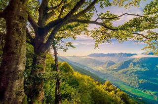 Britof Forest House in Chestnut Valley - Kanal - 8