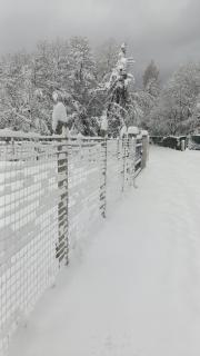 ART House Transylvania , Valea Avrigului , Sibiu - 1