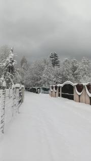 ART House Transylvania , Valea Avrigului , Sibiu - Avrig - 5