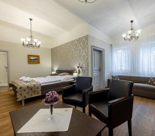 Wellness & Spa hotel Villa Regenhart - Jeseník - 6