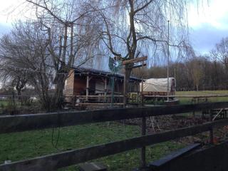 Scholz - - 5