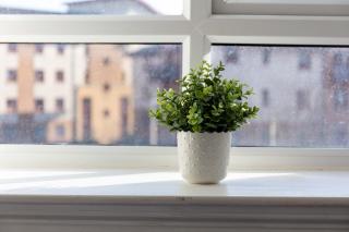 The Original Donnini Apartment - 5