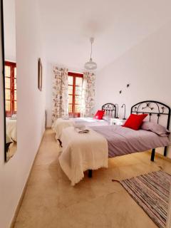 Duplex in Historic Center - Sevilla - 3