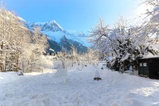 Violette de Cham - Jardin privé - Vue Mont Blanc - Chamonix-Mont-Blanc - 9