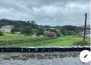 Yesan Sarang Pension - Hongseong - 7