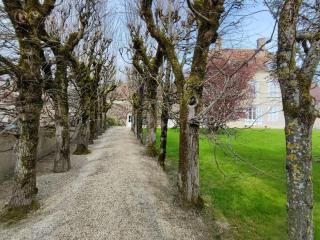 Clos Saint-Priscus - Gîte de Charme - Les Bastides d'Edouard en Bourgogne - Saint-Bris-le-Vineux - 8