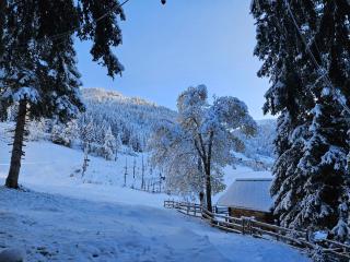 Kinder- und Familienhotel Nockalm - Innerkrems - 4