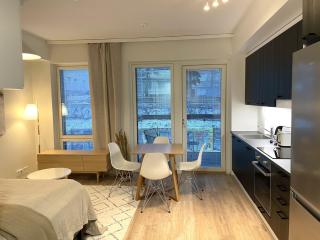 Viihtyisä yksiö Santalahdessa - Tampere - 9