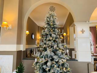 Zum weißen Haus - 3