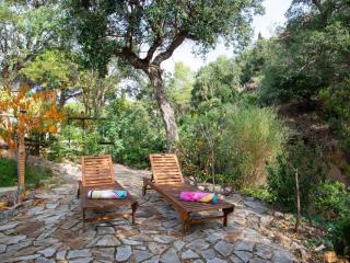 NINFA by Danlux Invest - Tossa de Mar - 1