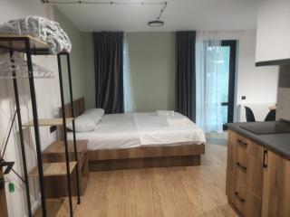 Pine Aparthotel - Shekhvetili - 8