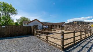 Bluebell Cottage - Penclawdd - 1