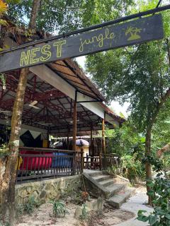 Nest Jungle - Koh Rong - 0