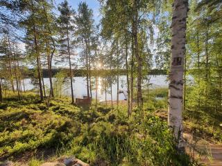 Villa Mäkivaski - 1