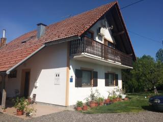 Galeva apartman - Smoljanac - 4