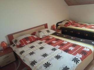 Galeva apartman - Smoljanac - 1