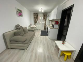 Studio Felicia, Sâmpetru, Jud Brasov - Sînpetru - 9