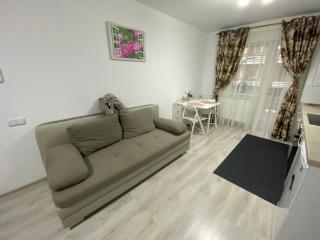 Studio Felicia, Sâmpetru, Jud Brasov - Sînpetru - 7