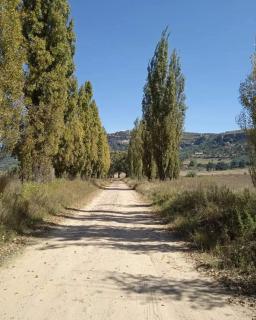 Boschfontein Mountain Lodge - Ficksburg - 3