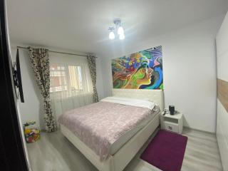Studio Felicia, Sâmpetru, Jud Brasov - Sînpetru - 4
