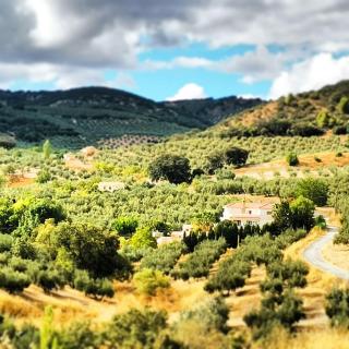 CORTIJO PENNYMARIA Poolside Apartment near Montefrio with stunning views - Montefrío - 9