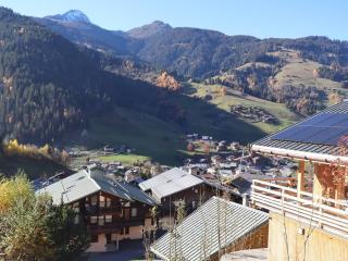 Appartement lumineux 2 chambres, parking, terrasse, proche commerces et pistes à Arêches-Beaufort - FR-1-342-226 - Beaufort - 1