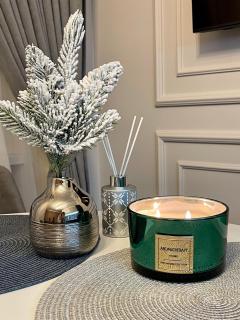 Von Cruss apartments in Lviv - 5