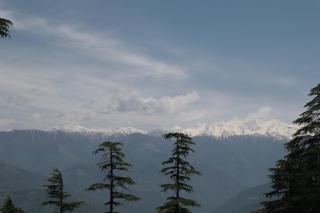 Sunrise home stay - Khajjiar - 0