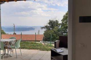 CASA NUOVA - Bee - 2