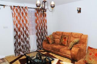 ICIPE road roysambu wangechi court fully furnished apartment - 0