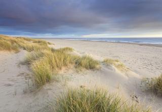 Hay Barn - Winterton-on-Sea - 7