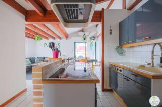 Biscarrosse Bourg Appartement avec terrasse classé 1 étoile pour 4 personnes - 6