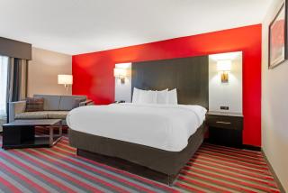Comfort Inn & Suites Carrollton - Carrollton - 8