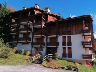 Appartement spacieux 8 pers avec cheminée, parking et vue montagne - FR-1-241-250 - Le Grand-Bornand - 9