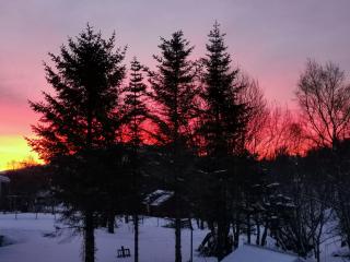 Cozy home - Gravdal - 3