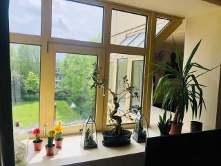 Beautiful 2 bed flat in Chelsea on King’s Road - Londra - 6