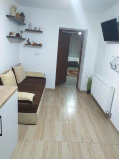 Fully Furnished Studio - Sighetu Marmaţiei - 5