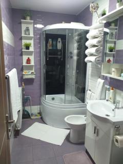 Fully Furnished Studio - Sighetu Marmaţiei - 4