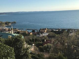 Trieste Sea Life - Triest - 3