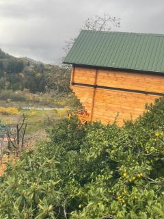 Daisi Cottage - Khelvach'auri - 4