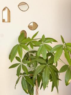 Sur le sable, face à la mer La Petite Tour - 1