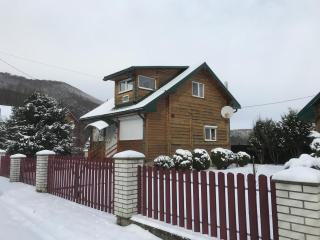 Садиба Карпатських Гір - Novyi Mizun' - 8