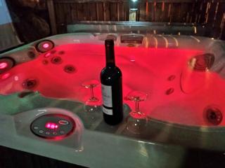 LE LOVE CHALET DES ALPES - Guillestre - 8