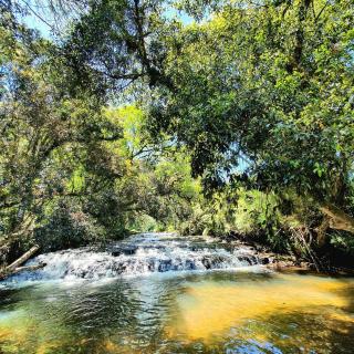 Rancho Otto Chalet Boutique - Rancho Queimado - SC - Rancho Queimado - 3