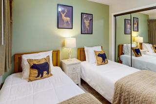 Stagecoach Ski Condo - Stateline - 1
