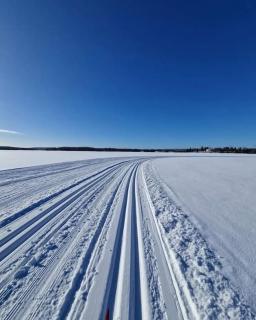 Saarijärvi - Omakotitalo, oma ranta - Kolkanlahti - 9