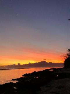 Bungalow KURA - Moorea - 6