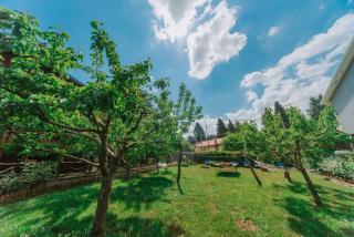 Casa della Montagna - Baita delle Rondini - 2